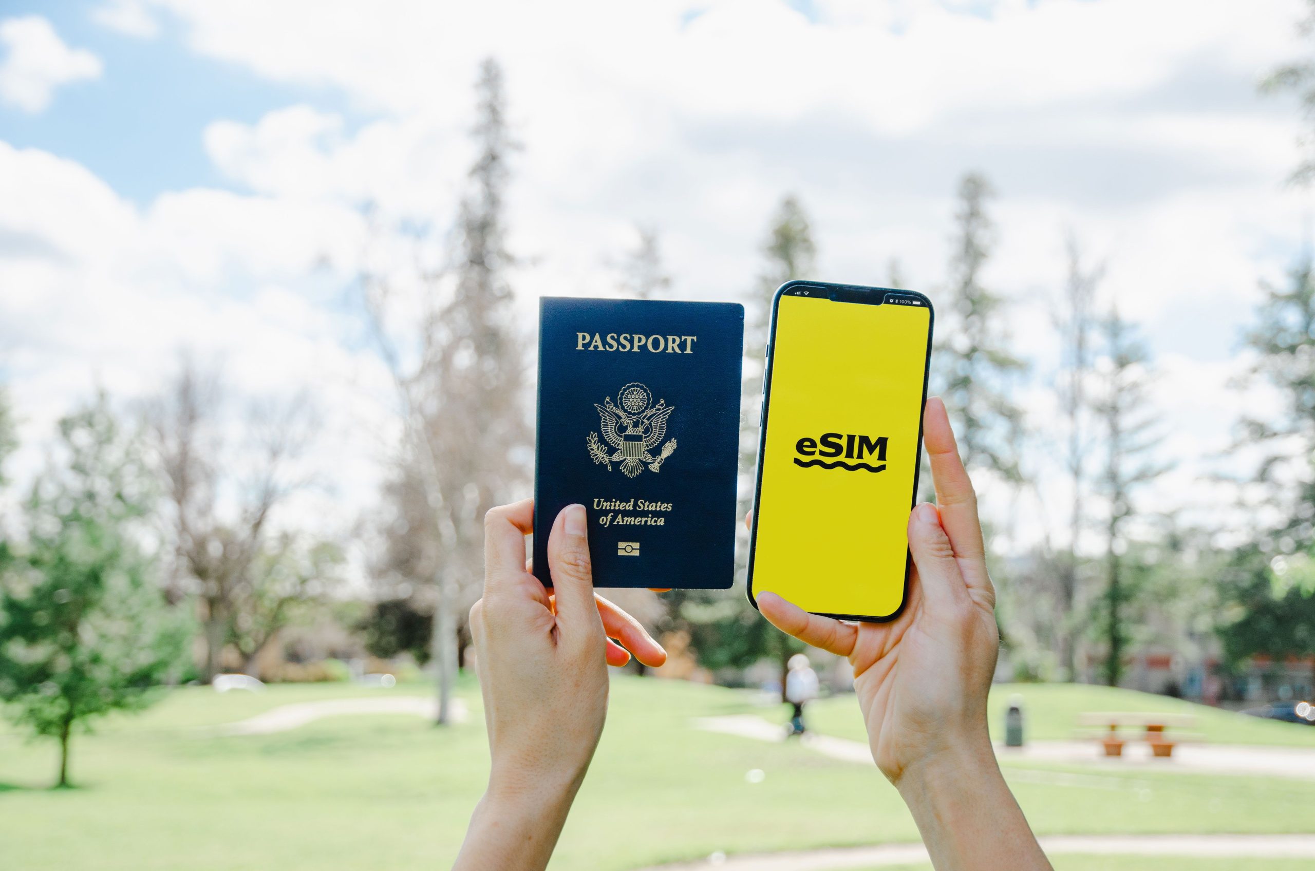 Saudi tourist eVisa application on a smartphone screen