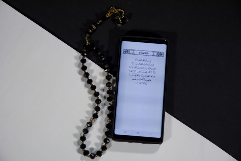 Smartphone showing the Nusuk app with Prophet's Mosque Services menu — Praying in the Noble Rawdah option highlighted